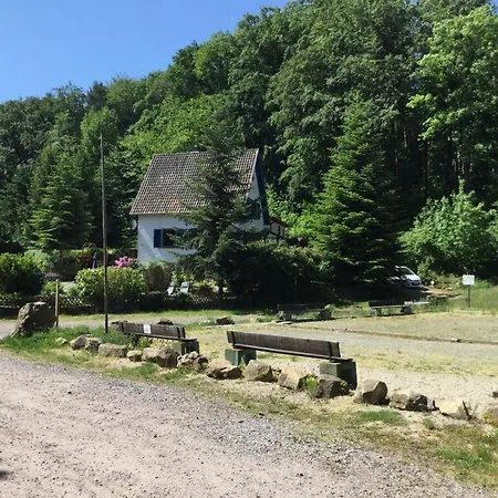 Idyllic Daire Wachenheim an der Weinstraße